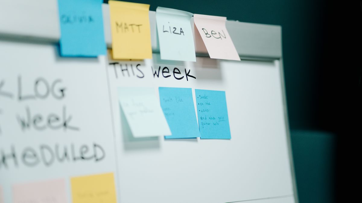 SEO Project Management